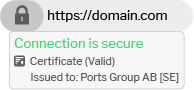EV certificate for SSL how it looks 