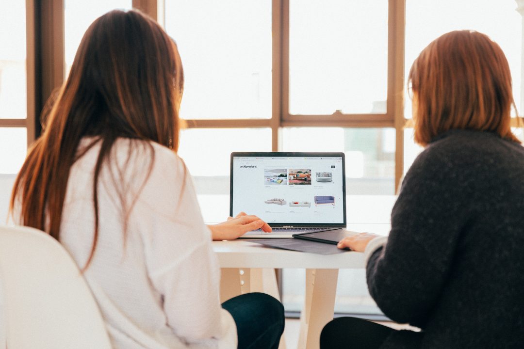 Image of two girls exterminating their e-commerce law website