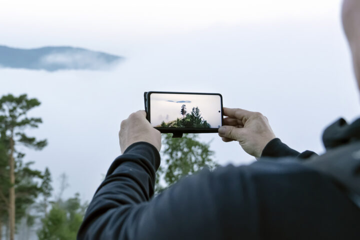 morning misty forest, a man takes pictures of nature on a smartphone camera. the morning dawn is met by a traveler who is a fan of photography and hiking