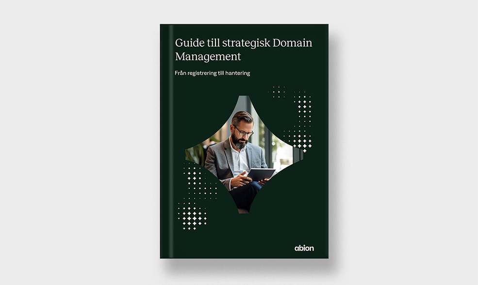 Guide till strategisk Domain Management