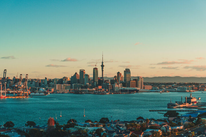 Auckland office Abion