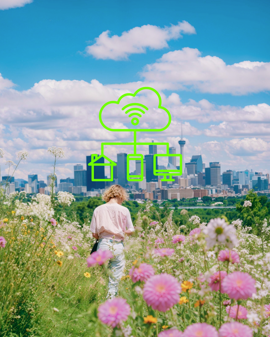 Internet of Things Certificates