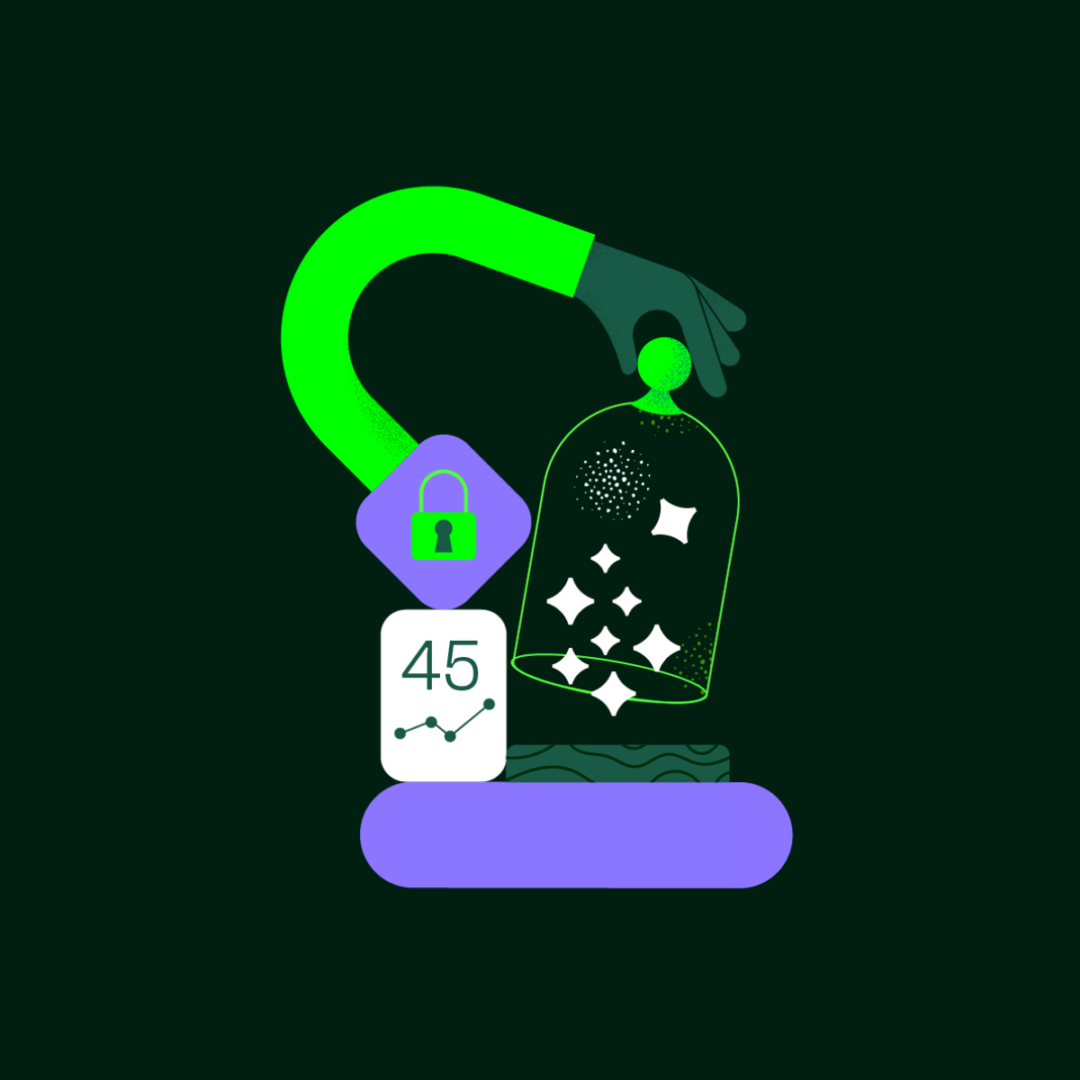 Web security