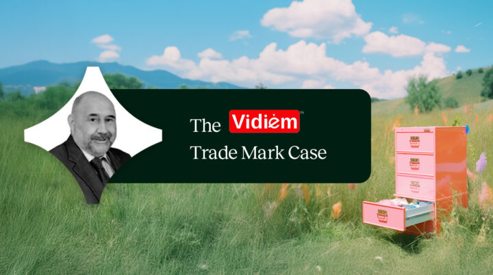 Vidiem case file top image