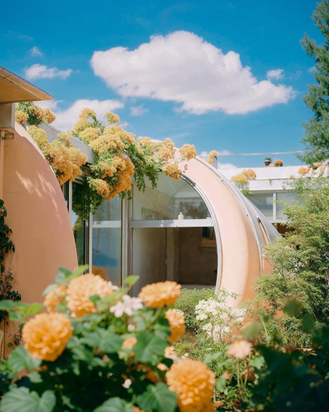 A curved building with yellow flowers and greenery against a bright blue sky with clouds.