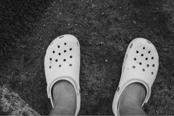 Crocs seen from above