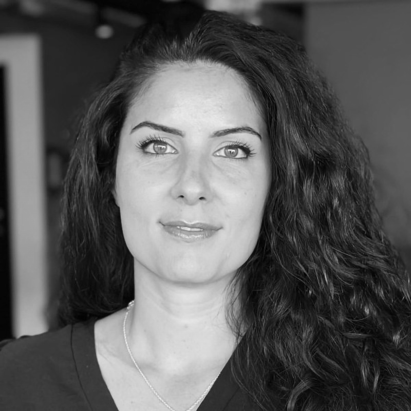 Aida Pataie