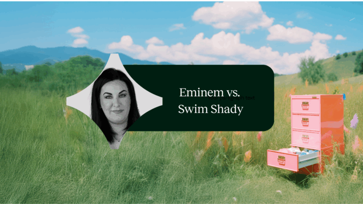 Eminem vs Swim Shady case image